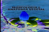 MANUAL PRÁTICO DE MORFOLOGIA E ANATOMIA VEGETAL · 2017. 3. 15. · A Morfologia, incluindo a Anatomia Vegetal, são ferramentas de apoio para outras disciplinas da Botânica básica
