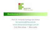 Botânica I - Fernando Santiagofernandosantiago.com.br/aula4_parte2.pdf · 2016. 6. 7. · Botânica I Prof. Dr. Fernando Santiago dos Santos fernandoss@ifsp.edu.br (13) 7820-4644