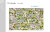 Botánica General BI 1201 Christian...Componentes de la CÉLULA VEGETAL La célula vegetal es un sistema de membranas No es exclusivo, también está presente en otros organismos eucarióticos.