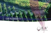 Catálogo2005 1ªparte p PDF portfolio · 2020. 10. 5. · selecção de Aguardentes, Licores e Portos, não esquecendo alguns acessórios sem os quais os rituais do vinho ficariam