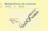 Metabolismo de controle DNA e RNAntese-Proteica...Metabolismo de controle DNA e RNA. DNA ácido desoxirribonucleico PAPEL BIOLÓGICO Transmitir a informação genética de uma célula