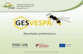 Resultados preliminares - Projects · 2019. 10. 28. · 3 repetições, 6 modelos, 5 semanas - Agosto 2017 Avaliação do impacto da vespa-asiática sobre os ecossistemas e sobre
