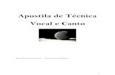 Apostila de Técnica Vocal e Canto · 2017. 5. 30. · Voz e Identidade A voz humana é uma característica intrínseca da espécie, que acompanha o desenvolvimento do próprio ser