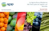 La Agricultura Moderna del Perú para el Japón y el Mundo · Palabras del excelentísimo Embajador del Japón en el Perú ... Avanzar con el análisis de riesgo de plagas en productos