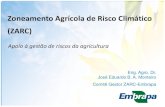Zoneamento Agrícola de Risco Climático (ZARC) · 2019. 12. 20. · Zoneamento Agrícola de Risco Climático (ZARC)) • É a delimitação de regiões e épocas de plantio em classes