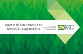 Acordos de livre comércio do Mercosul e o agronegócioabitrigo.com.br/congresso-2019/apresentacoes/apresentac... · 2019. 10. 23. · Principais Produtos Produção Exportação