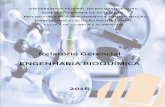 Relatório Gerencial ENGENHARIA BIOQUÍMICA“RIOS_GERENCIAS/... · 2017. 1. 11. · Relatório Gerencial ENGENHARIA BIOQUÍMICA 2016. 2 ... II. Contextualização da FURG 2.1. Breve