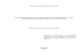 Diversidade genética em feijão-fava (Phaseolus lunatus L.) por …ainfo.cnptia.embrapa.br/.../item/56018/1/Raimundo-Nonato.pdf · 2012. 3. 20. · Raimundo Nonato Oliveira Silva