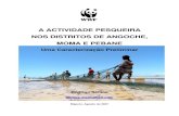 Uma Caracterização Preliminar...1. Caracterizar a pesca artesanal nos Distritos de Angoche, Moma e Pebane descrevendo as capturas de pescado, esforço de pesca, capturas por unidade