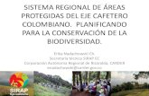 SISTEMA REGIONAL DE ÁREAS PROTEGIDAS DEL EJE CAFETERO … · 2018. 4. 18. · • Convenio sobre Diversidad Biológica: Ley 165 de 1994 • Iniciativas de conservación de otras