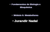 Jurandir Nadal³dulo 6... · 2018. 2. 8. · Metabolismo Vias catabólicas Metabolismo Vias anabólicas Catabolismo: degradação de nutrientes acompanhado pela liberação de energia.