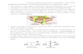Potenciais de membrana e de ação · 2020. 8. 31. · A Membrana Neuronal, o Potencial de Membrana e o Potencial de Ação • Um neurônio é uma célula recoberta por uma fina