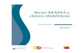 Score MAMÁ y claves obstétricas186.42.188.158:8090/guias/SCORE MAMA Y CLAVES OBSTETRICAS... · 2019. 2. 17. · Ministerio de Salud Pública del Ecuador, Score MAMÁ y claves obstétricas,