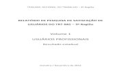Volume 1 USUÁRIOS PROFISSIONAIS - TRT-MG