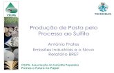 Produção de Pasta pelo Processo ao Sulfito