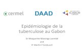 Epidémiologie de la tuberculose au Gabon