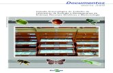 Coleção Entomológica de Trabalho do Laboratório de ...