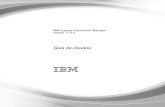 Informações do Produto - IBM