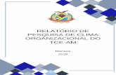 RELATÓRIO DE PESQUISA DE CLIMA ORGANIZACIONAL DO TCE …