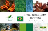 10 anos da Lei de Gestão das Florestas