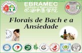 Florais de Bach e a Ansiedade - ebramec.edu.br