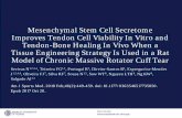 Mesenchymal Stem Cell Secretome Improves Tendon Cell ...