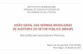 VISÃO GERAL DAS NORMAS BRASILEIRAS DE AUDITORIA DO …