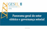 Panorama geral do setor elétrico e governança setorial