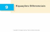 9 Equações Diferenciais