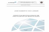 JOSÉ ROBERTO VICH JUNIOR ASPECTOS MOTIVACIONAIS EM ...