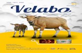 Backup of Velabo Juli-PR