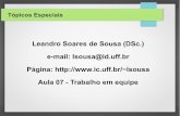 Leandro Soares de Sousa (DSc.) e-mail: lsousa@id.uff.br ...