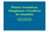 Plantas Aromáticas, Oleaginosas e Frutíferas da Amazônia