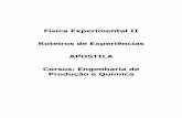 Física Experimental II Roteiros de Experiências APOSTILA ...