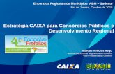 Estratégia CAIXA para Consórcios Públicos e ...