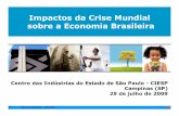 Impactos da Crise Mundial sobre a Economia Brasileira