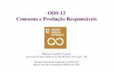 ODS 12 Consumo e Produção Responsáveis