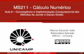 MS211 - Cálculo Numérico
