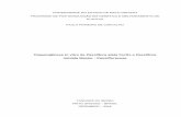 Organogênese in vitro de Passiflora alata Curtis e miniata ...