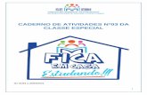 CADERNO DE ATIVIDADES Nº03 DA CLASSE ESPECIAL
