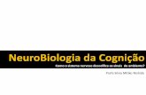 NeuroBiologia da Cognição - Unesp