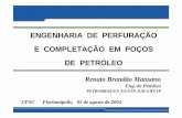 ENGENHARIA DE PERFURAÇÃO E ... - Petroleo.Ufsc.br