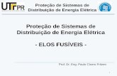 Proteção de Sistemas de Distribuição de Energia Elétrica ...