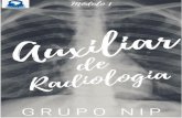 GRUPO NIP - nipcursos.com.br