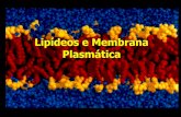 Lipídeos e Membrana Plasmática