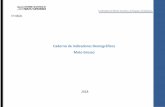 Caderno de Indicadores Demográficos Mato Grosso