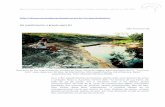 Rio Jequitinhonha: o grande xapiri [1]