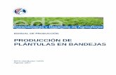 PRODUCCIÓN DE PLÁNTULAS EN BANDEJAS