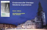 Endovascular therapy: Modena experience