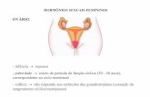 HORMÔNIOS SEXUAIS FEMININOS